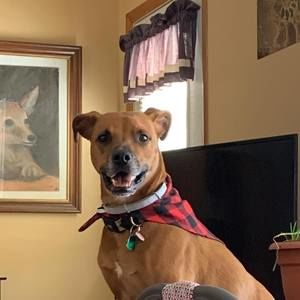 Meet your Posher, Annmarie